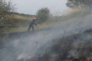 Incendiu de vegetatie pe zeci de hectare, in judetul Tulcea