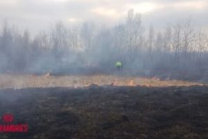 Incendii de vegetaţie uscată lichidate de pompierii de la ISU Maramureş