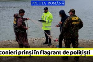 NEAMȚ: Braconieri prinşi în flagrant de poliţişti (FOTO)