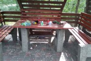 FOTO: Ce a rămas în urma vrâncenilor după primele zile de relaxare în Crângul Petreşti