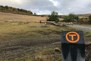 Cine spune că frumuseţile României pot fi descoperite pe Via Transilvanica (FOTO)