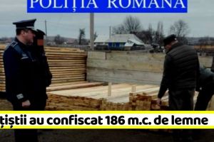 NEAMȚ: Poliţiştii au confiscat 186 m.c. de lemne