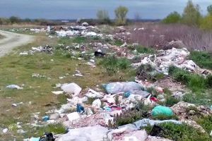 Primării din Timiş, avertizate să strângă gunoiul de pe malurile cursurilor de apă