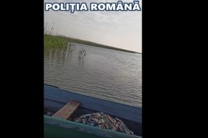 Actiuni de prevenire si combatere a braconajului piscicol. Politistii au eliberat in mediul natural 11 sturioni si opt delfini (video)