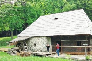 FOTO: Peste 2.500 de sibieni au călcat pragul Muzeului Astra în weekend