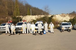 Începe campania de deratizare şi dezinsecţie la Deva