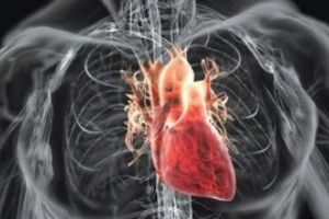 Coronavirusul nu atacă doar plămânii - Poate provoca complicaţii cardiovasculare periculoase, spun medicii de urgenţă