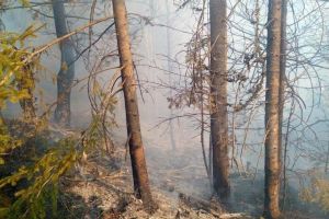 Ardere necontrolată la Gheorgheni, zona Csiszer. Focul s-a extins pe aproximativ 15 hectare