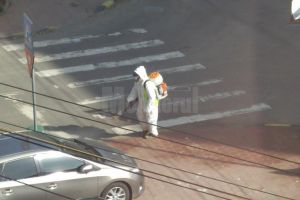 OMS: „Pulverizarea străzilor sau a trotuarelor nu este recomandată pentru eliminarea ...