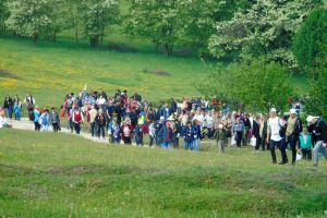 Pelerinajul de la Şumuleu – Organizatorii cheamă la un pelerinaj în inimi