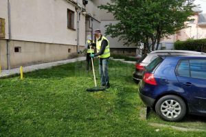 Programul acţiunilor de întreţinere a spaţiilor verzi de săptămâna aceasta, în ...