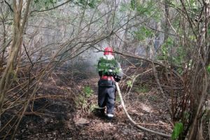 Interventii ale pompierilor, in judetul Tulcea. Focare intinse pe mai multe hectare