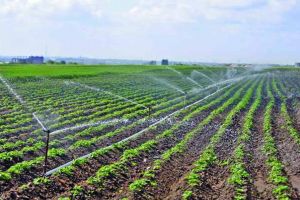 Apa CTTA Alba: Apel către cei care derulează activităţi agricole să reducă la minim utilizarea apei potabile pentru scopuri agricole şi de grădinărit, în contextul secetei din ultima perioadă