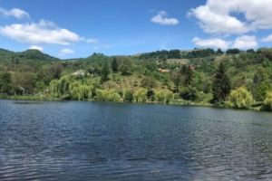 În locul agitaţiei din Trivale, am ales Lacul Învârtita