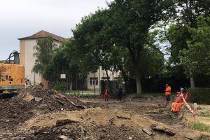 Parcarea etajată promisă în Dacia rămâne la sol. Se fac oricum 100 de locuri de parcare după tăierea copacilor