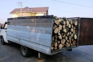 Material lemnos confiscat pe raza localităţilor Lăzarea, Suseni şi Praid