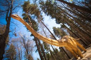 Dino Parc Râşnov se redeschide pe 22 mai