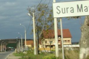 Angajată a primăriei din Șura Mare bolnavă de coronavirus – Primarul: „Am fost toţi testaţi”