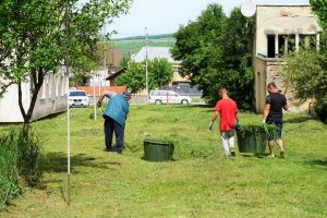 Se coseşte iarba în oraş. În ce zone se lucrează săptămâna aceasta