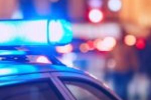 Arme deţinute ilegal au fost confiscate din Iohanisfeld şi Peciu Nou! Poliţiştii au deschis dosare penale