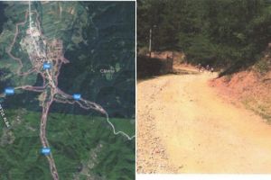 Modernizarea drumului forestier Valea Dăii – Cugir: Licitaţie pentru servicii de proiectare