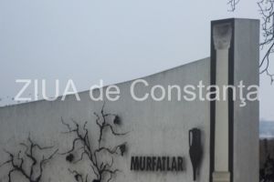 Compania Murfatlar Romania SA, in faliment! Judecatorii vor relua procesul