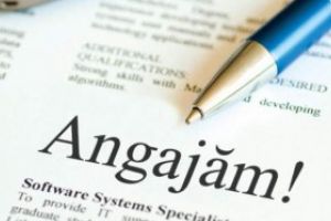 Oferta săptămânii: Pe ce posturi te poţi angaja în Maramureş