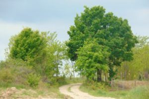 Premierul a transmis ONG-urilor de mediu că susţine ideea administrării în comun a ariilor naturale protejate