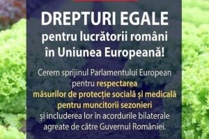 Comunicat de presă: Semnează petiţia ”Drepturi egale pentru lucrătorii români în Uniunea Europeană”!