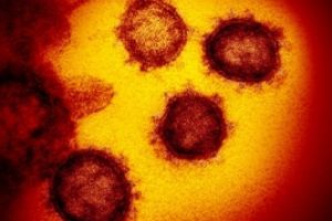 Avertisment SUMBRU: 'Europa trebui să se pregătească pentru al doilea val de coronavirus. Nu este momentul să vă relaxaţi complet'