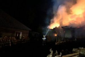 Intervenţie la Ruscova. Flăcările au mistuit un adăpost de animale