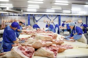 Mai mulţi români care lucrează într-un abator din nord-vestul Germaniei, infectaţi cu COVID-19