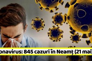 Coronavirus: 845 de cazuri în Neamţ până astăzi. Vezi şi situaţia în ţară (21 mai)
