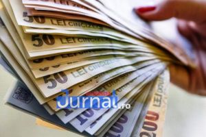 AJPIS Vrancea a făcut plăţi de peste 4 milioane de lei către PFA-uri, Întreprinderi Familiale şi Întreprinderi Individuale