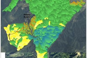 Aproape 80% din Pădurile Braşovului sunt în zone de protecţie