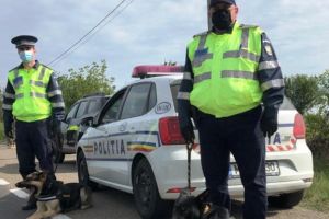 OFICIAL: IPJ Vrancea nu va da amenzi în raza celor 30 de kilometri din jurul Focşaniului!