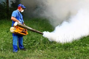 Acţiune de dezinsecţie pe domeniul public din Săcele, astăzi şi mâine