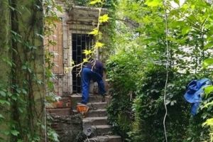Primăria dă 17.000 de euro pe proiectul care transformă fostul sediu al ziarului Timişoara în creşă