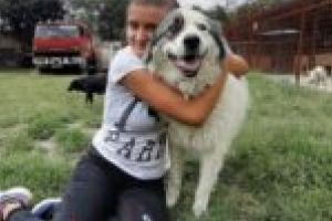 Orăviţenii se implică! Aproape 200 de animale sterilizate în prima campanie gratuită din acest an