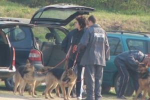 NEWS ALERT/ Femeie DISPĂRUTĂ, la Arad. Autorităţile au demarat căutările