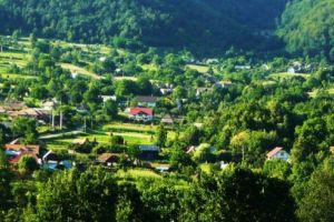 Tinerii voluntari din Ibăneşti, implicare pentru un mediu curat