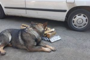 „Contrabandişti, v-am promis: voi nu mai scăpaţi de VIS!”: O nouă captură a câinelui poliţist, în Baia Mare