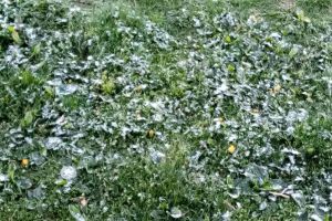 Minus 4 grade pe Rarău, vineri dimineaţă