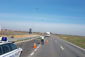 Tânăr sucevean, prins cu adeverinţă falsă în Satu Mare. S-a ales cu dosar penal