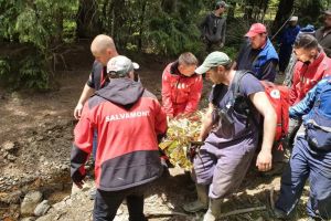 Persoană dispărută în pădure, găsită după 43 de ore de căutare