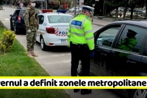 Guvernul a definit zonele metropolitane