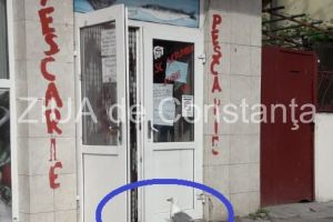 Imaginea zilei: Constanta. Pescarusul Costica-clientul permanent al unei pescarii din Piata Grivitei 