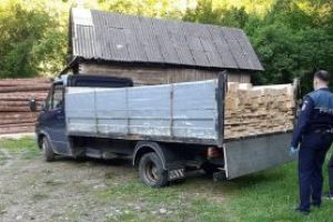 Controale şi verificări pentru protejarea pădurilor