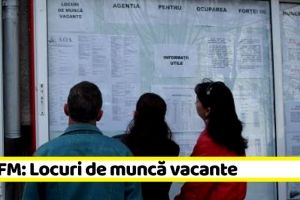 58 noi locuri de muncă în Neamţ. În total sunt 292 vacante la data de 23 mai