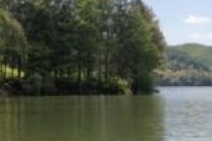 S-a dat undă verde la… iarbă verde şi la prima baie